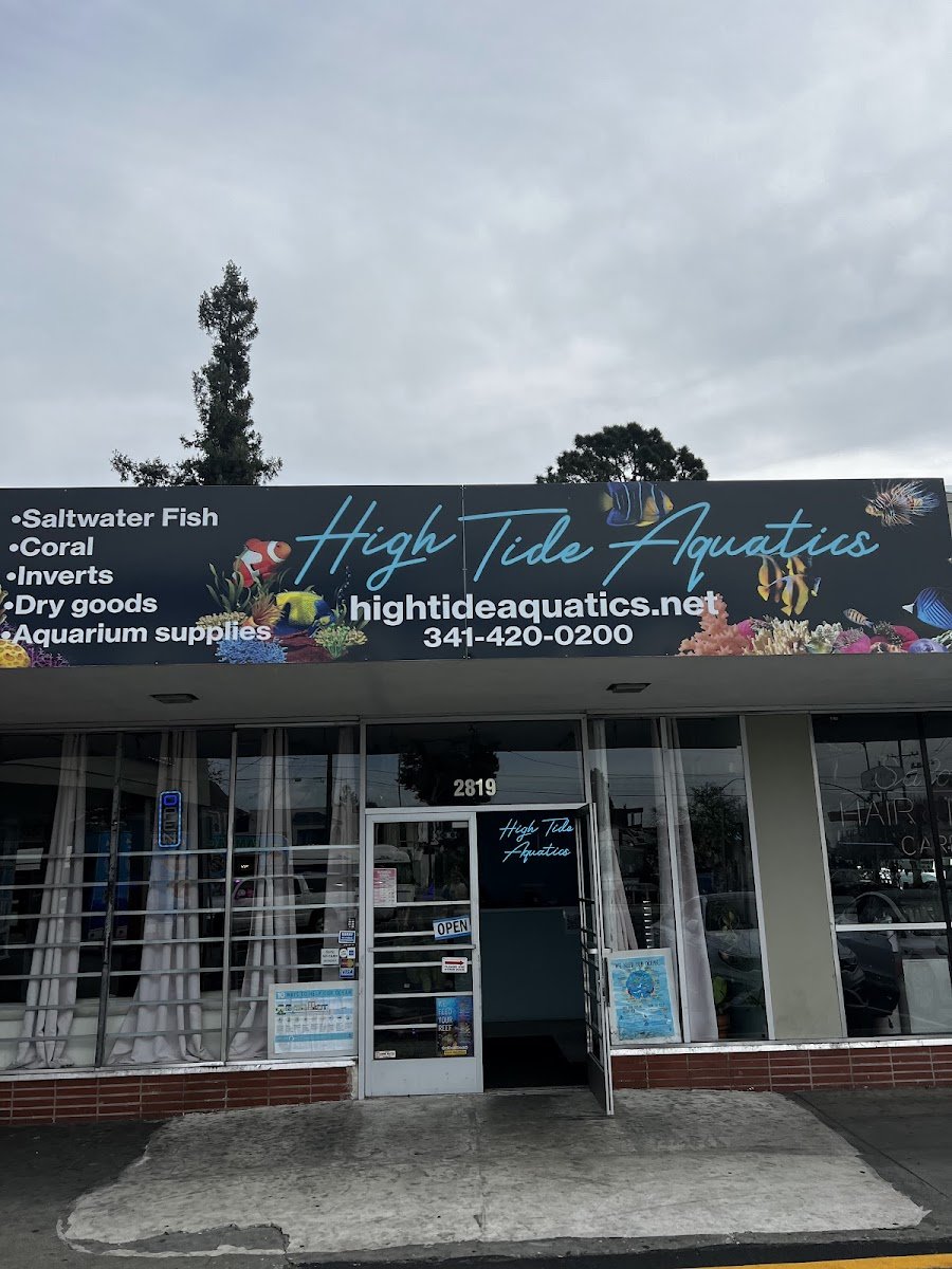 High Tide Aquatics - Photo 2