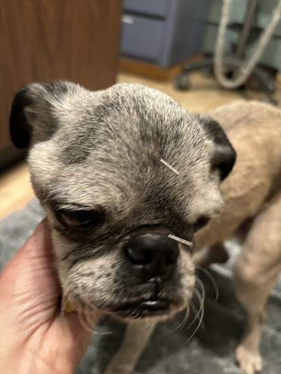 Creature Comfort Holistic