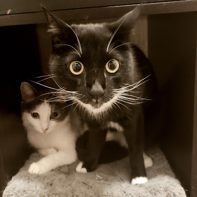 Fuzzy Britches Pet Care