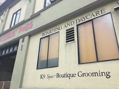 K9 Spa - Pet Shop in San Francisco