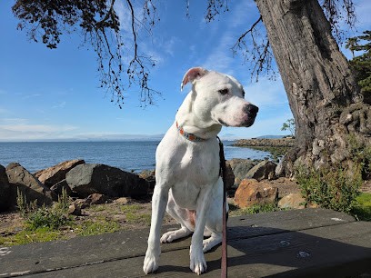 Alameda Paws