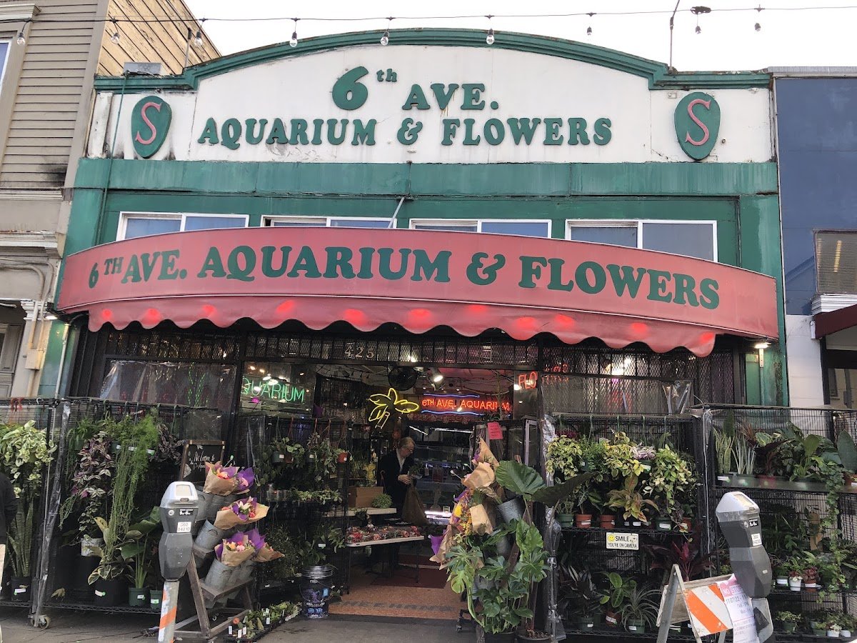 6th Avenue Aquarium - Photo 2
