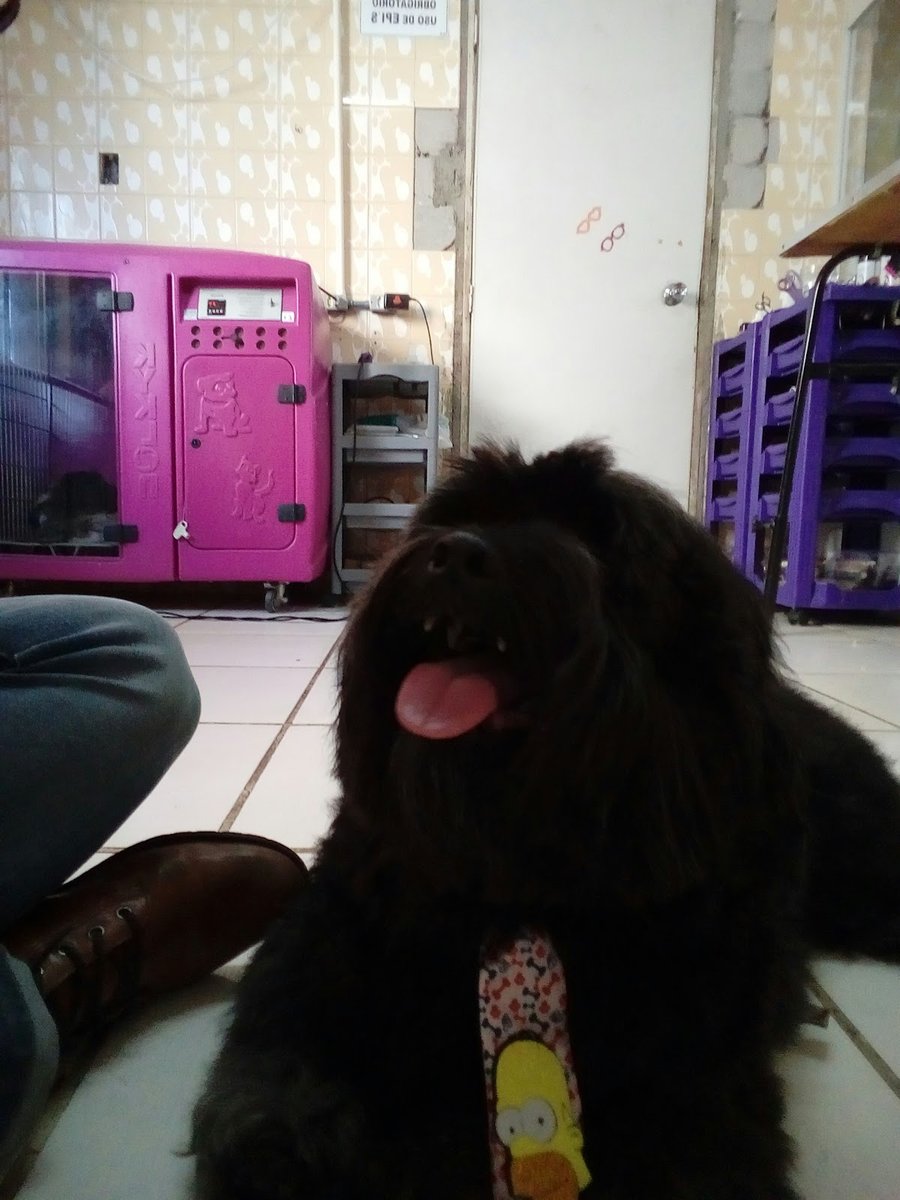 Beleza Animal Petshop & Estética LTDA