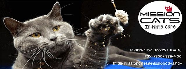 Mission Cats In-Home Care