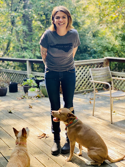 Balanced Bay Dog Training