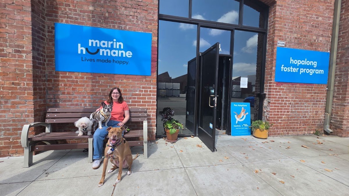 Hopalong Foster Program at Marin Humane - Photo 2