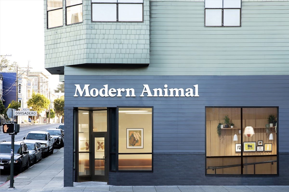 Modern Animal NOPA - Photo 2