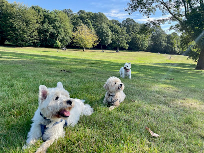 StayPawsitive Dog Home Boarding Bromley