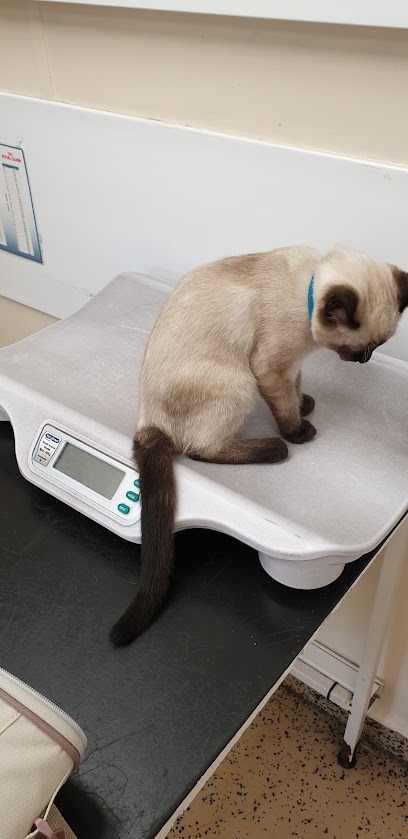 Goddard Veterinary Group, South Woodford