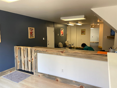 Noe Valley Dog Daycare