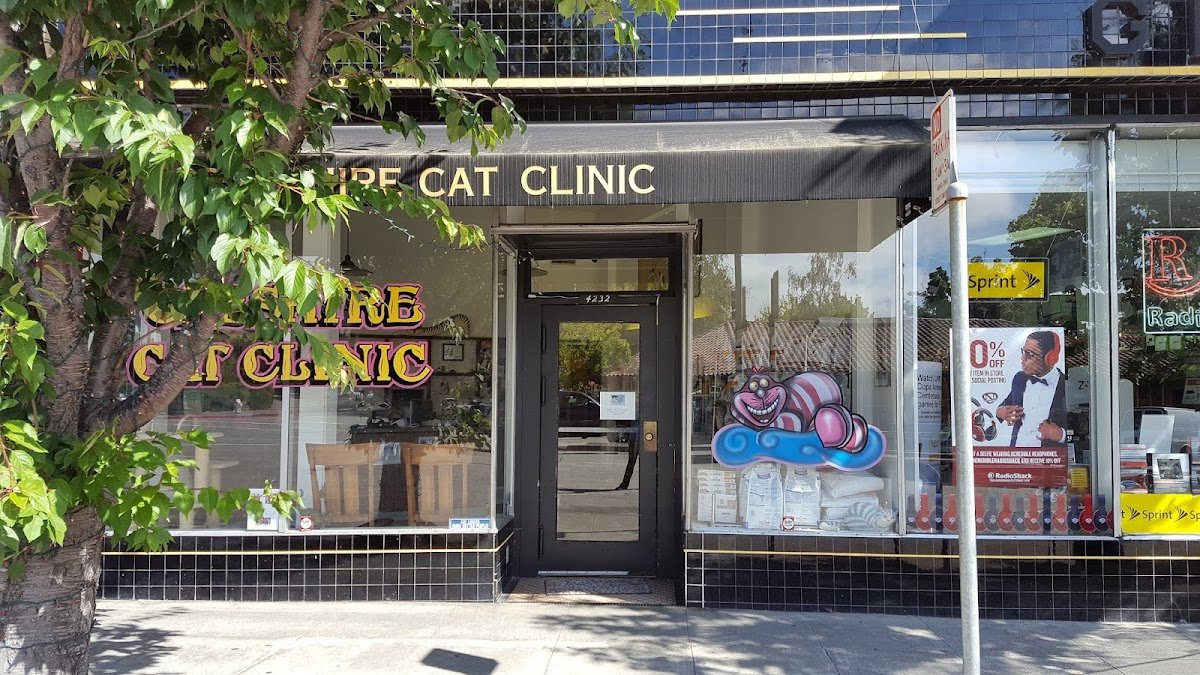 The Cheshire Cat Clinic - Photo 2