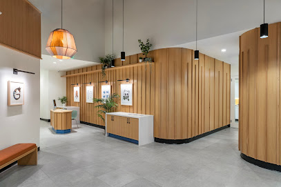 Modern Animal Russian Hill