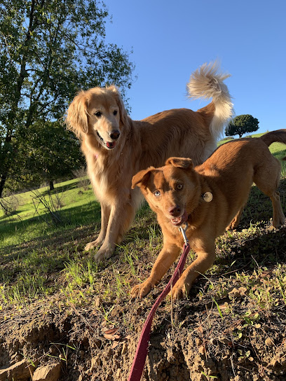 Angie’s Pawsitive Pet Care