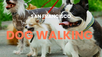 Minnie & Co. Dog Walking Service