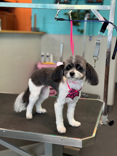 The Pawlor Salon & Spa - Dog Grooming Oakland
