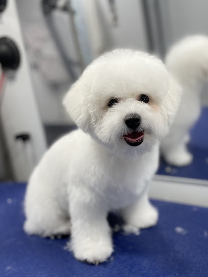 Marvelous Mutts Dog Grooming