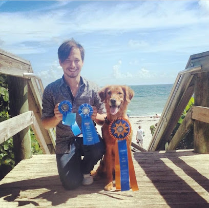 Stanfur'd k9 - Dog Training