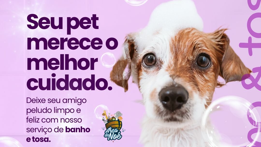 Arca de Noé Pet Care