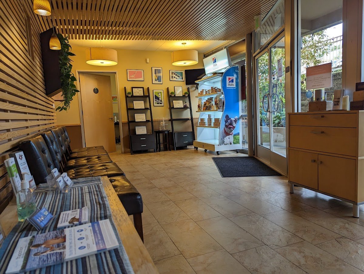 Montclair Pet Hospital - Photo 2