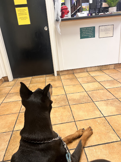 Woodminster Veterinary Hospital