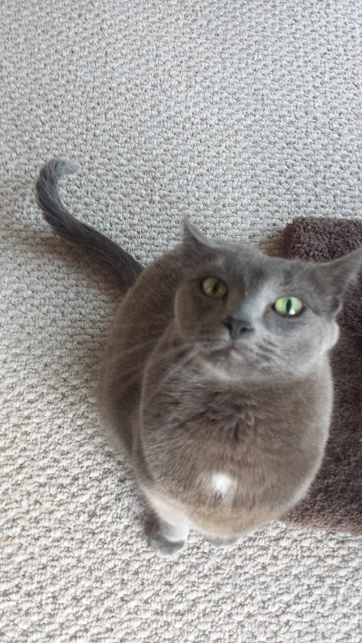 Mister Beever's Paws & Claws