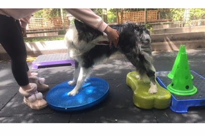 Happy Hounds Massage & Fitness