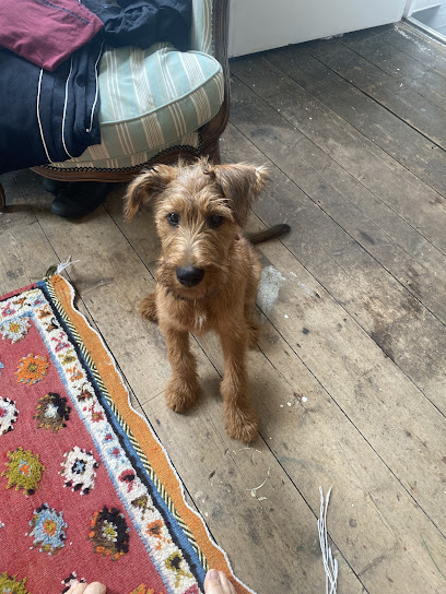 Learn Doglish - Pet Shop in London