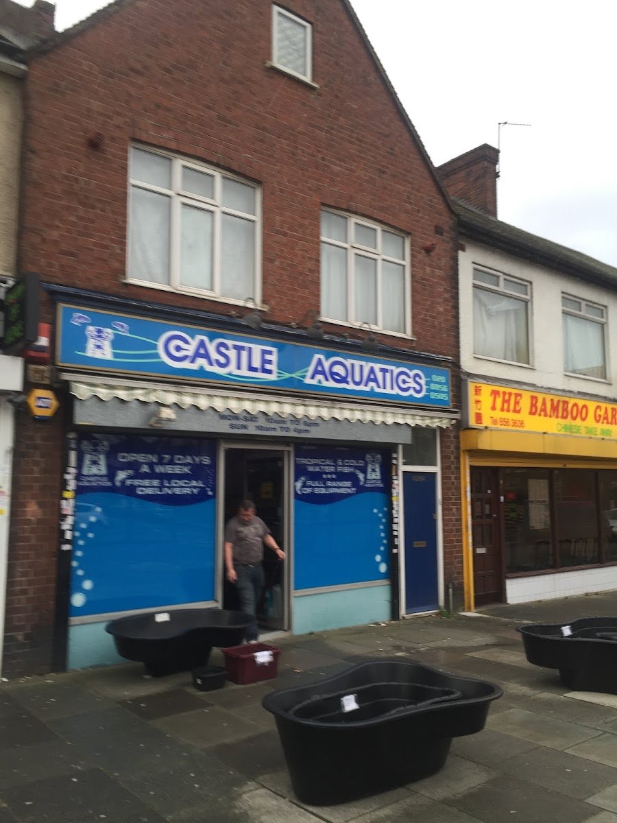 Castle Aquatics - Photo 2