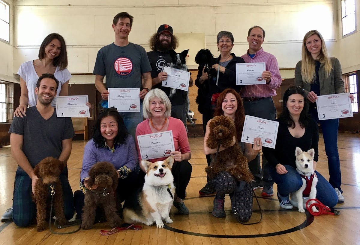 Bravo Pup Social - Photo 2