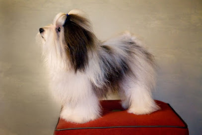 Kent's Kanines - Pet Shop in San Francisco