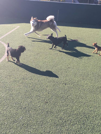 Snoopy's 24/7 Petcare/Boarding Service