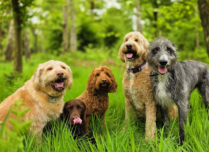 Dogs 4 Days - Pet Shop in London