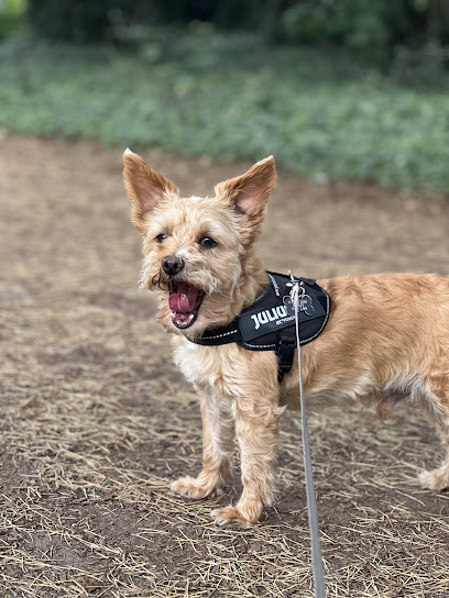 Florence and Friends
