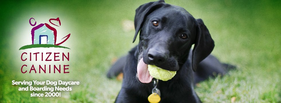 Citizen Canine - Photo 2