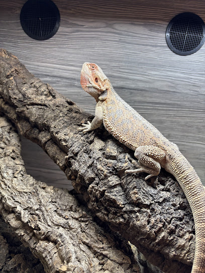 Midlands Reptile Rescue