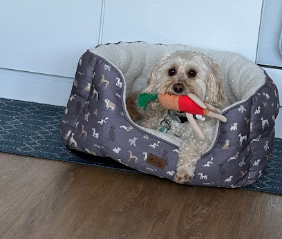 Alice's Doggie Day Care & Sleepovers