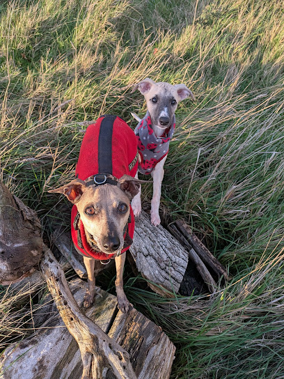 Hairy Poppins Bespoke Pet Services