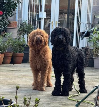 Paws and Claws Boarding Coventry