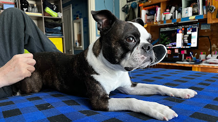 In Cahoots with Canines San Francisco - Pet Shop in San Francisco