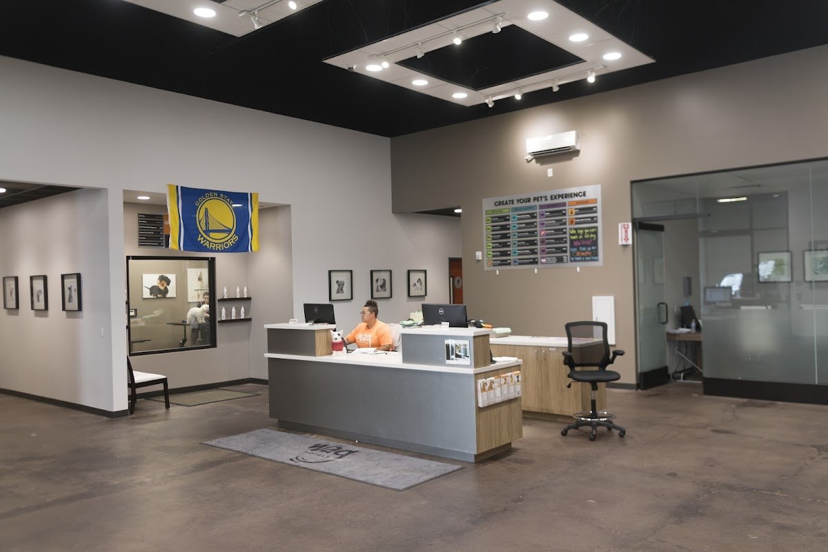 Wag Hotels - Oakland - Photo 2