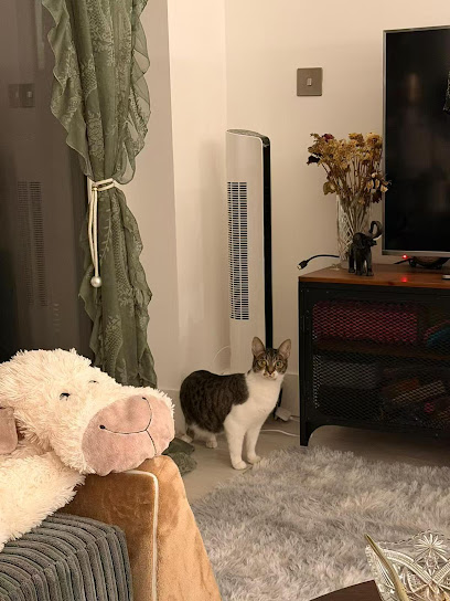 Happy Tails001 Cattery