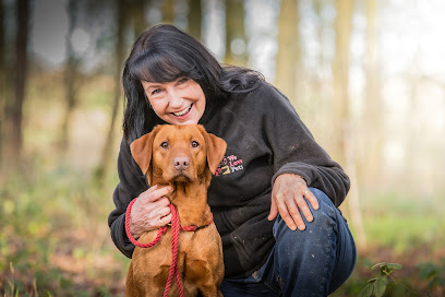 We Love Pets Stourbridge - Dog Walker, Pet Sitter & Home Boarder