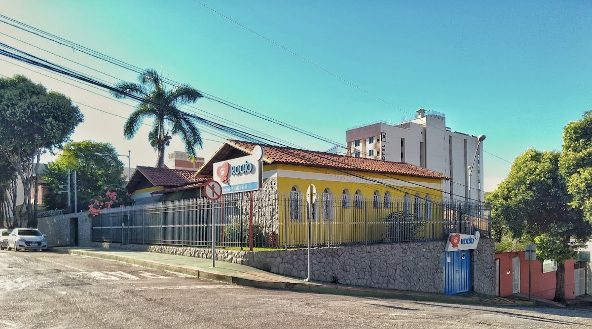 Clínica Veterinária Rocio - Pet Shop em Ipatinga
