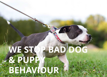 Staffordshire Dog School - Pet Shop in Birmingham