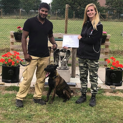 midlands dog trainer - Pet Shop in Birmingham