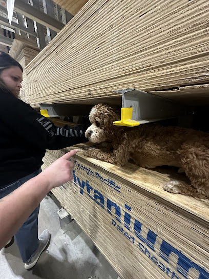 It's a Breeze Dog Training & Pet Care