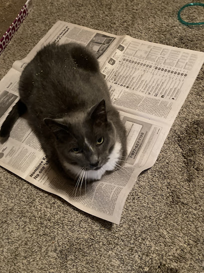 at home at last, LLC