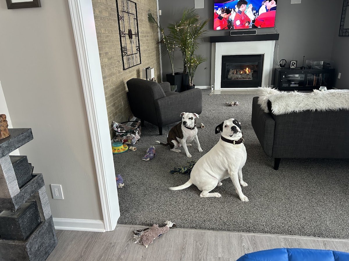 Tailstruck Pet Services - Photo 2