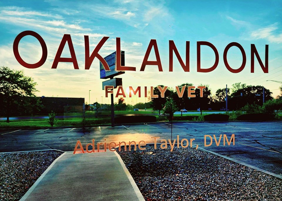 Oaklandon Family Vet - Photo 2