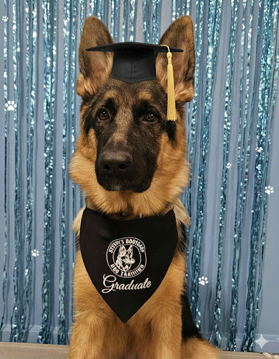 Steven's Bootcamp Dog Training Indianapolis